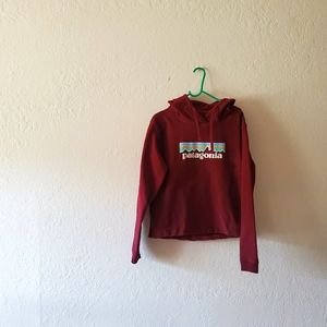 Patagonia Sweatshirt